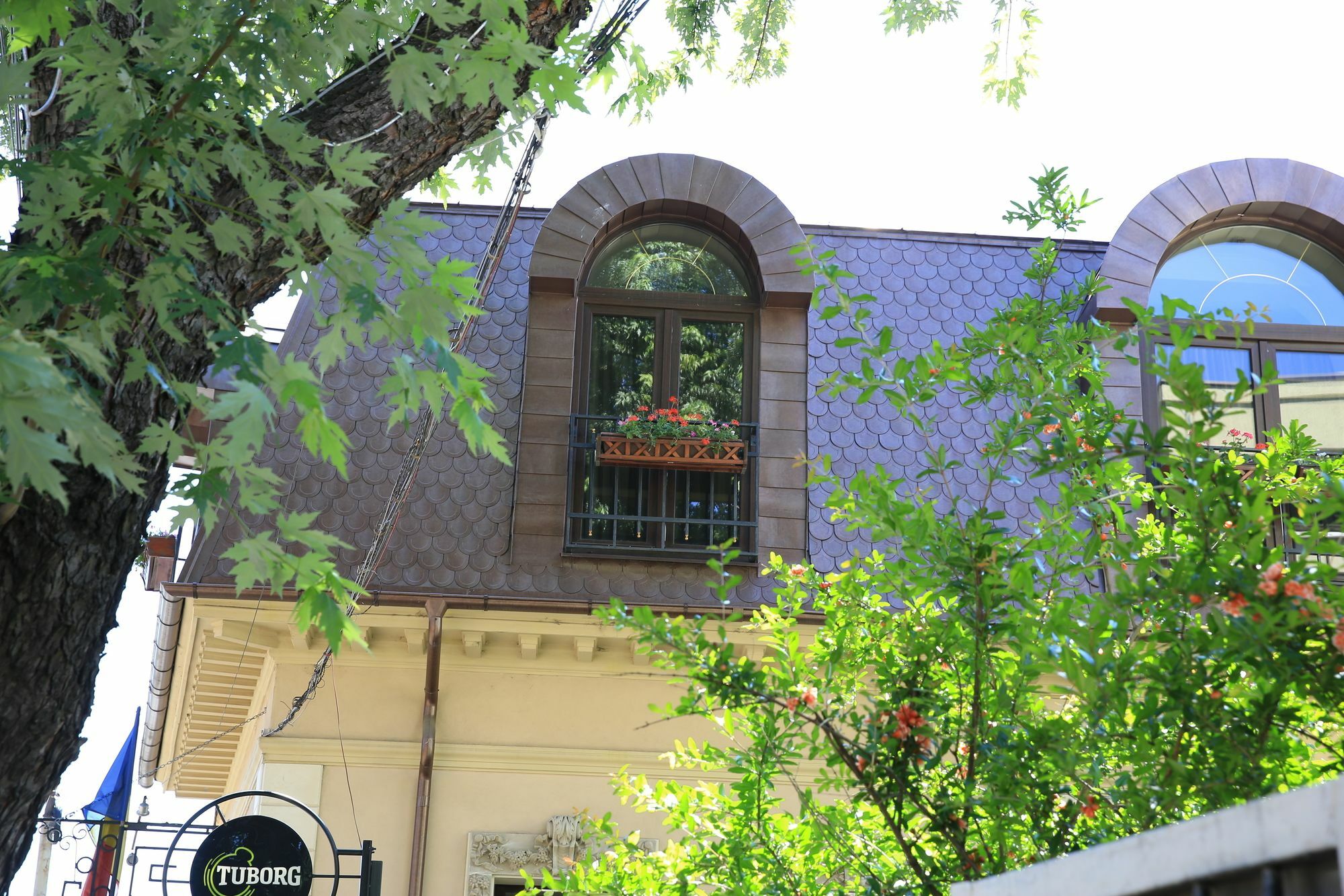 Vila Sia Bucharest Exterior photo
